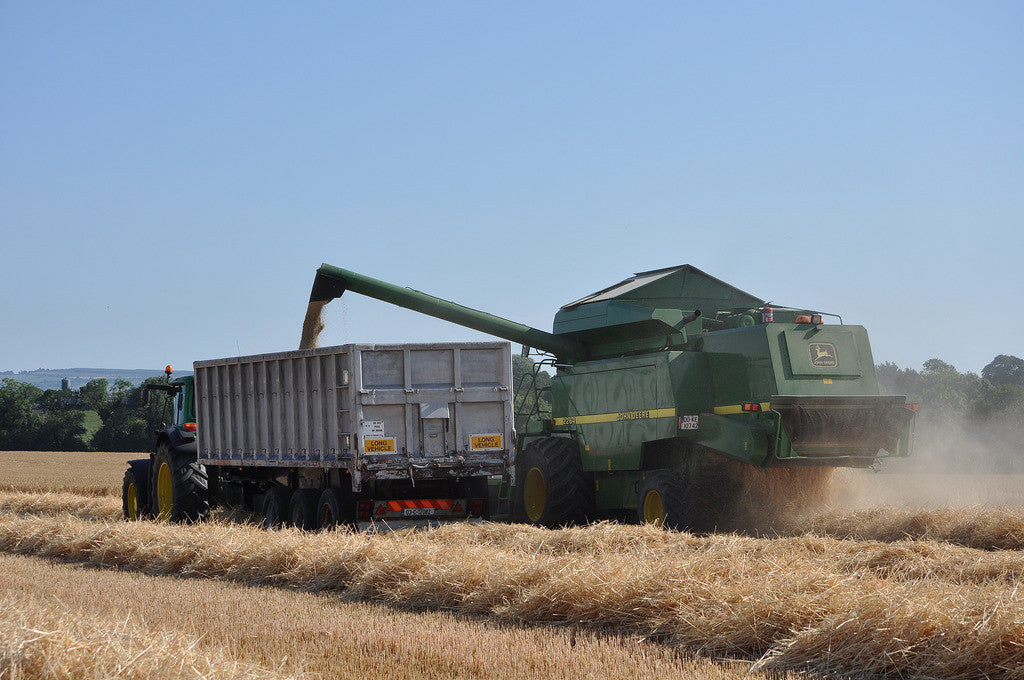 Monitor grain trailer's loading